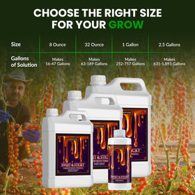 Humboldts Secret Sweet & Sticky outdoor garden plants show improved aroma and flavor.