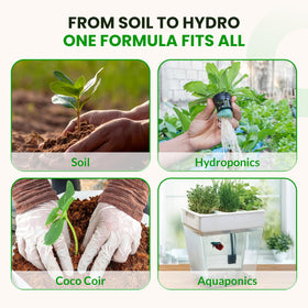 Humboldts Secret Sweet & Sticky root development supports stronger plant foundations.