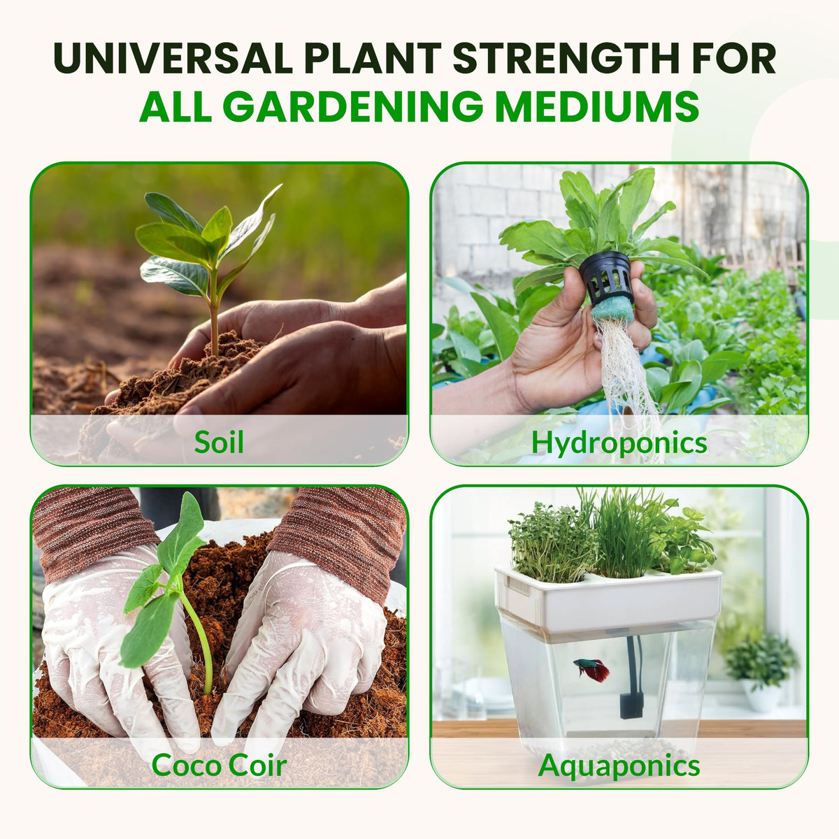 Outdoor and indoor plants benefiting from Tree Trunk for thicker stalks.