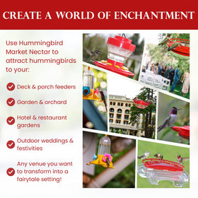 Hummingbird Market made-in-USA nectar powder from a family-owned firm