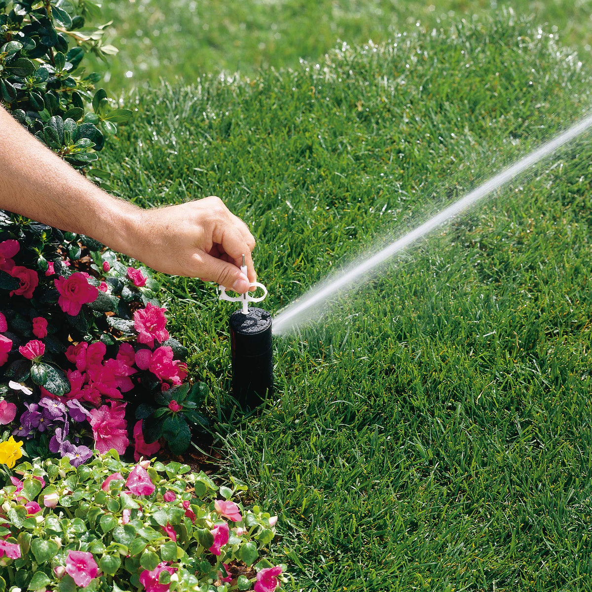 Hunter PGP ADJ rotor nozzle red demonstrates arc spray pattern