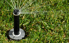 Hunter PRS40 regulator close-up highlighting 40 psi regulation for efficient watering