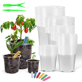 HurOutd 60-pack clear nursery pots with drainage holes for versatile plant care.