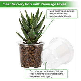 HurOutd clear 5-inch pot suitable for mid-size houseplants and healthy drainage.