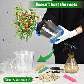 HurOutd clear 6-inch pot for larger starters with good airflow.