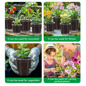 HurOutd plant labels and tools help organize care routines.
