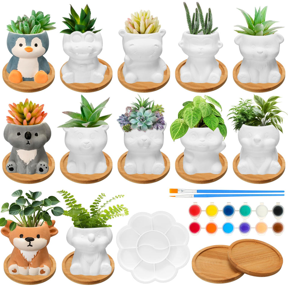 Hushee 12-set ceramic succulent planters ready for customization and display