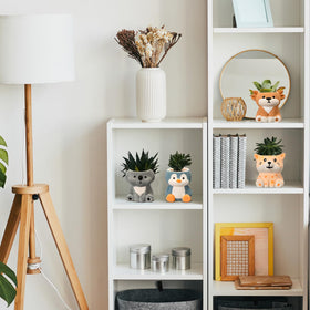 Hushee animal-themed DIY pot kit sparks creativity and play