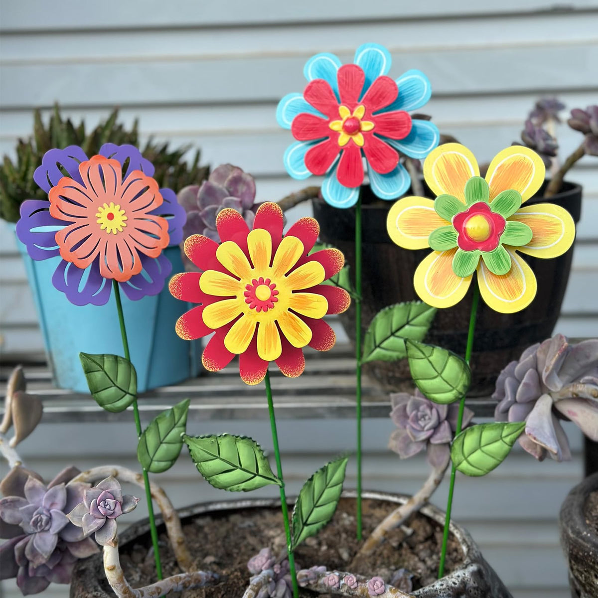 HUTHDAK four-pack adds color and elegance to pathways, lawns, and borders
