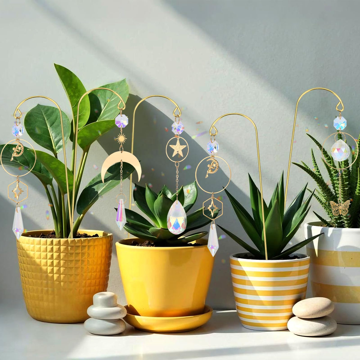 HYBEADS six-pack gift set for plant lovers and decorators.