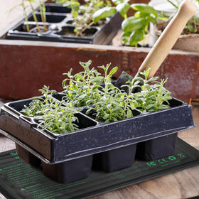 HYDGOOHO Compact storage foldable mat for easy off-season storage