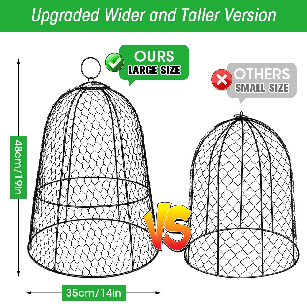 Hydream 6-pack cloches assembled over young plants for pest protection