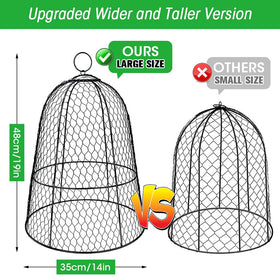 Hydream 6-pack cloches assembled over young plants for pest protection