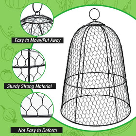 Hydream cloche on garden bed blending with decor while shielding greens