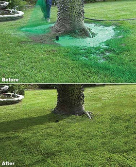 Hydro Mousse dog spots area being treated for lawn repair