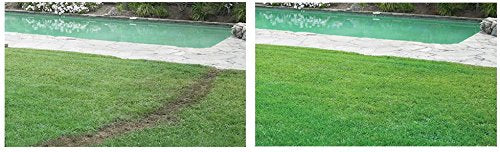 Hydro Mousse overseeding scene showing coverage up to 1000 sq ft