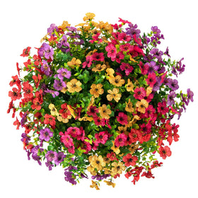 HyeFlora display-ready hanging basket installed for easy setup