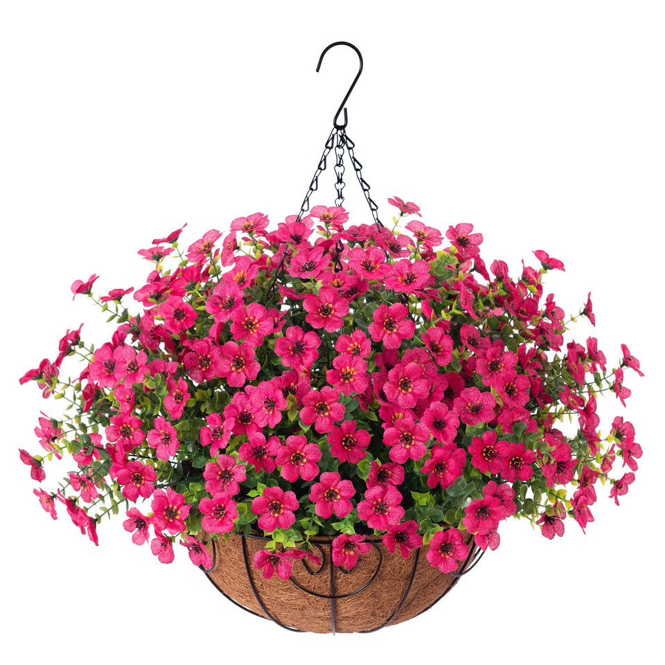 HyeFlora hotpink daisy hanging basket for outdoor decor that stays vibrant