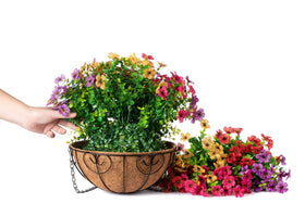 HyeFlora outdoor hanging basket on patio for instant charm
