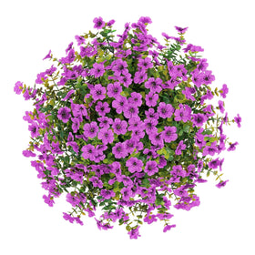 HyeFlora outdoor hanging décor suitable for patio garden balcony
