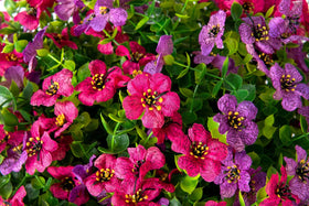 HyeFlora outdoor-friendly decor for patio balcony or yard