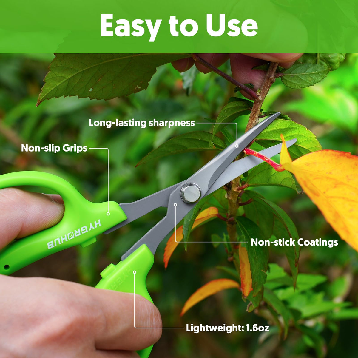 Hygrohub pruning in grow tent for hydroponics setups.