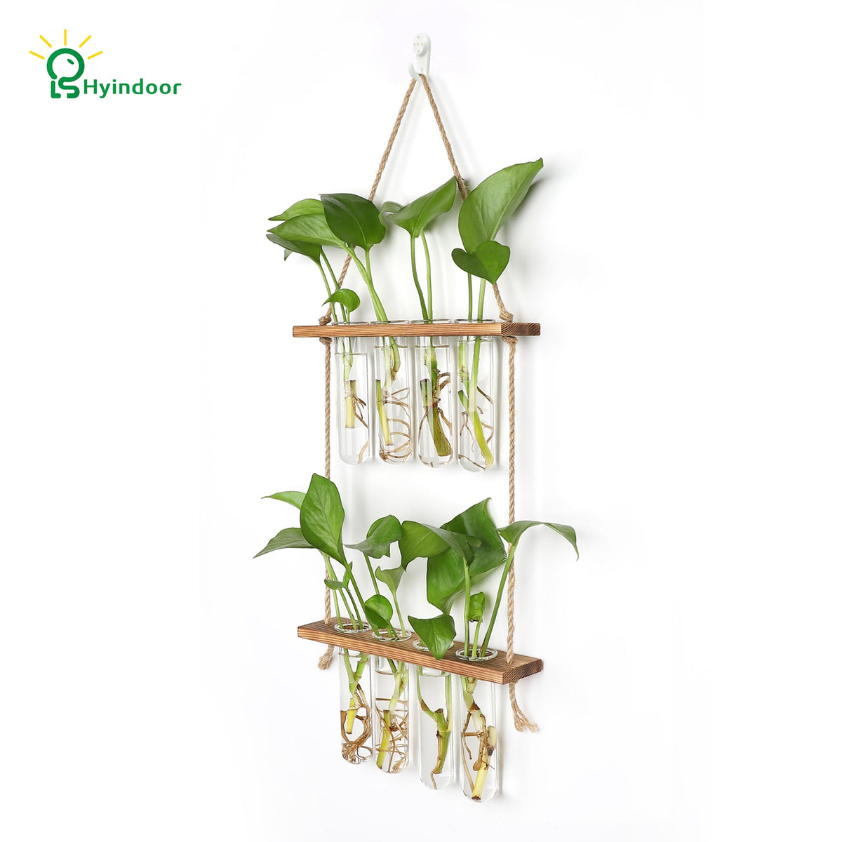 Hyindoor glass test tubes eight-pack for root observation