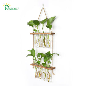 Hyindoor glass test tubes eight-pack for root observation