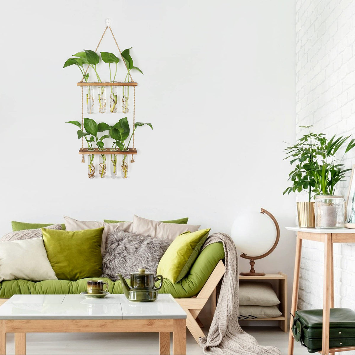 Hyindoor propagation station in use showcases plants beautifully