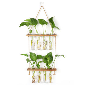 Hyindoor wall hanging planter terrarium with two-tier design for propagation