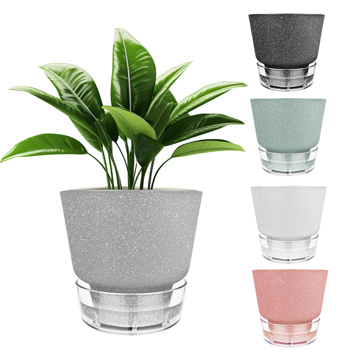 HYNZ 6-Inch self-watering pot with visual reservoir for easy indoor plant care.