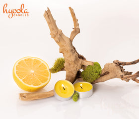 Hyoola Tealight Citronella Candle camping and patio friendly lighting.