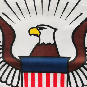 Hypoth US Navy flag close-up shows 3-ply layering and durability