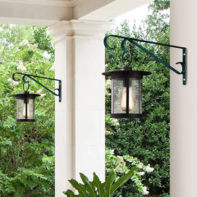 Hystun rust-resistant iron hook set adds garden decor charm.