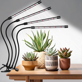 Hywyimlait Black Clip Grow Light setup for flexible indoor gardening