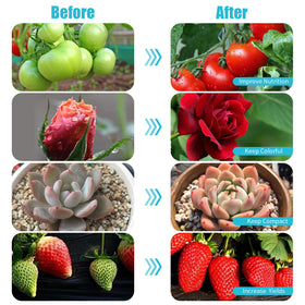 Hywyimlait dimmable 10 levels tailor brightness for seedlings or flowering.