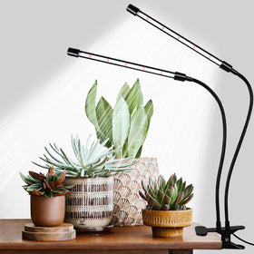 Hywyimlait grow lights clip setup for compact desks, ideal for seedling care.