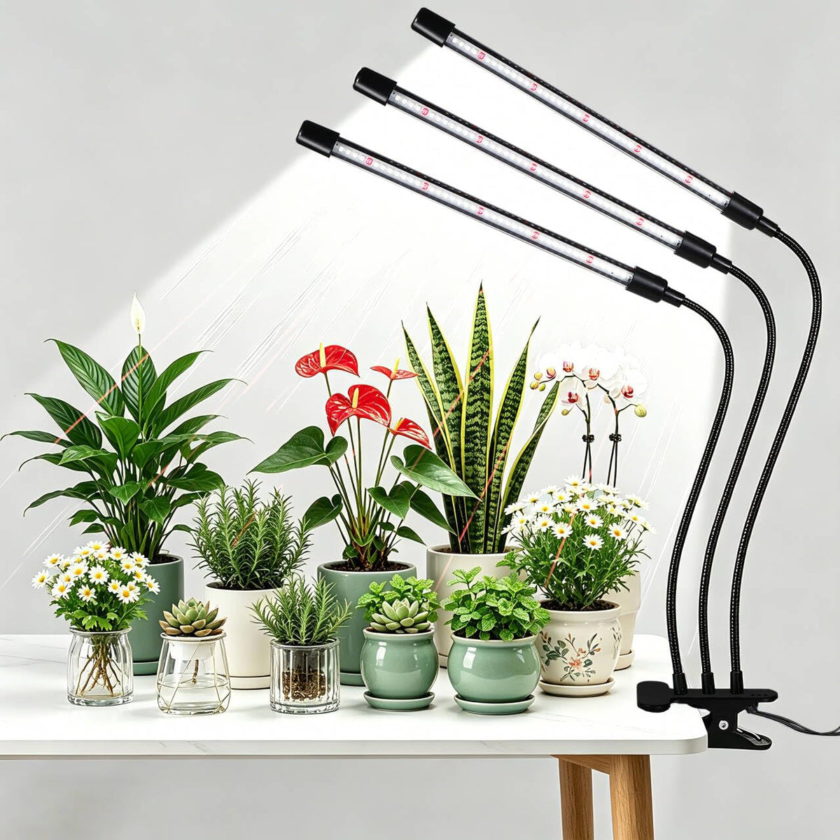 Hywyimlait grow lights clip illuminate compact desks for healthy indoor plants.