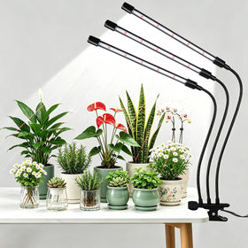 Hywyimlait grow lights clip illuminate compact desks for healthy indoor plants.