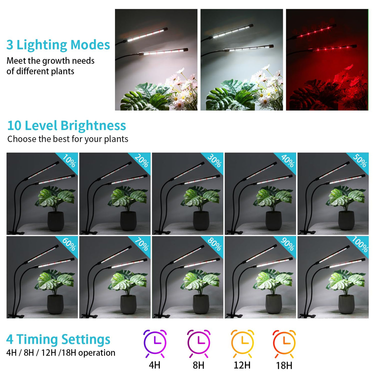 Hywyimlait full-spectrum lighting mimicking sunlight for robust growth.