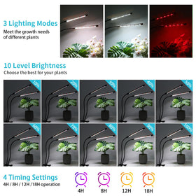 Hywyimlait full-spectrum lighting mimicking sunlight for robust growth.