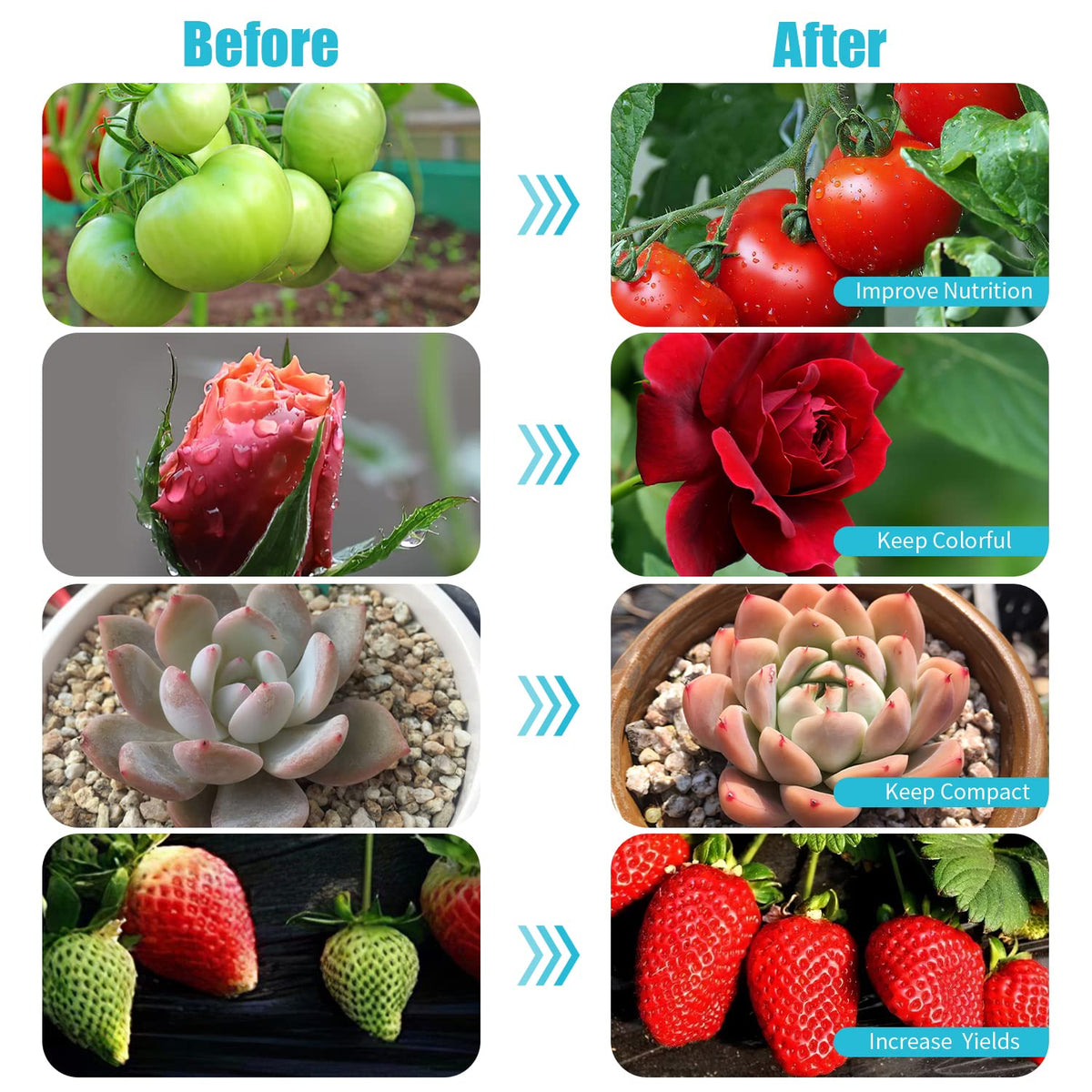 Hywyimlait timer cycle demonstrating auto on/off scheduling for busy days.