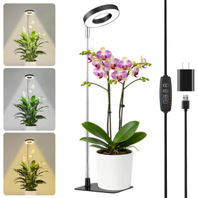 Hywyimlait Small Halo Grow Light with Base illuminates indoor herbs and leafy plants