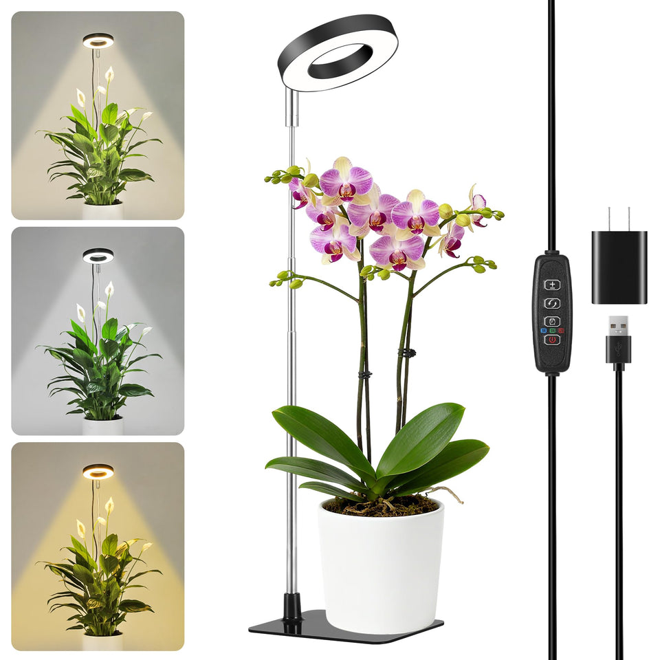 Hywyimlait Small Halo Grow Light with Base illuminates indoor herbs and leafy plants