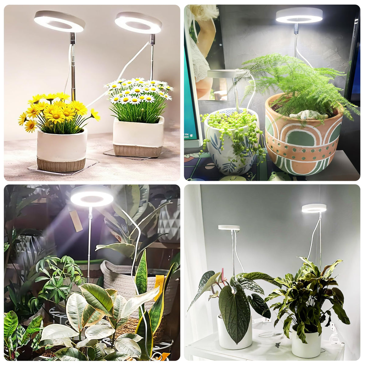 Hywyimlait indoor-decor-use light blends with home decor while supporting plants.