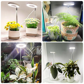 Hywyimlait indoor-decor-use light blends with home decor while supporting plants.