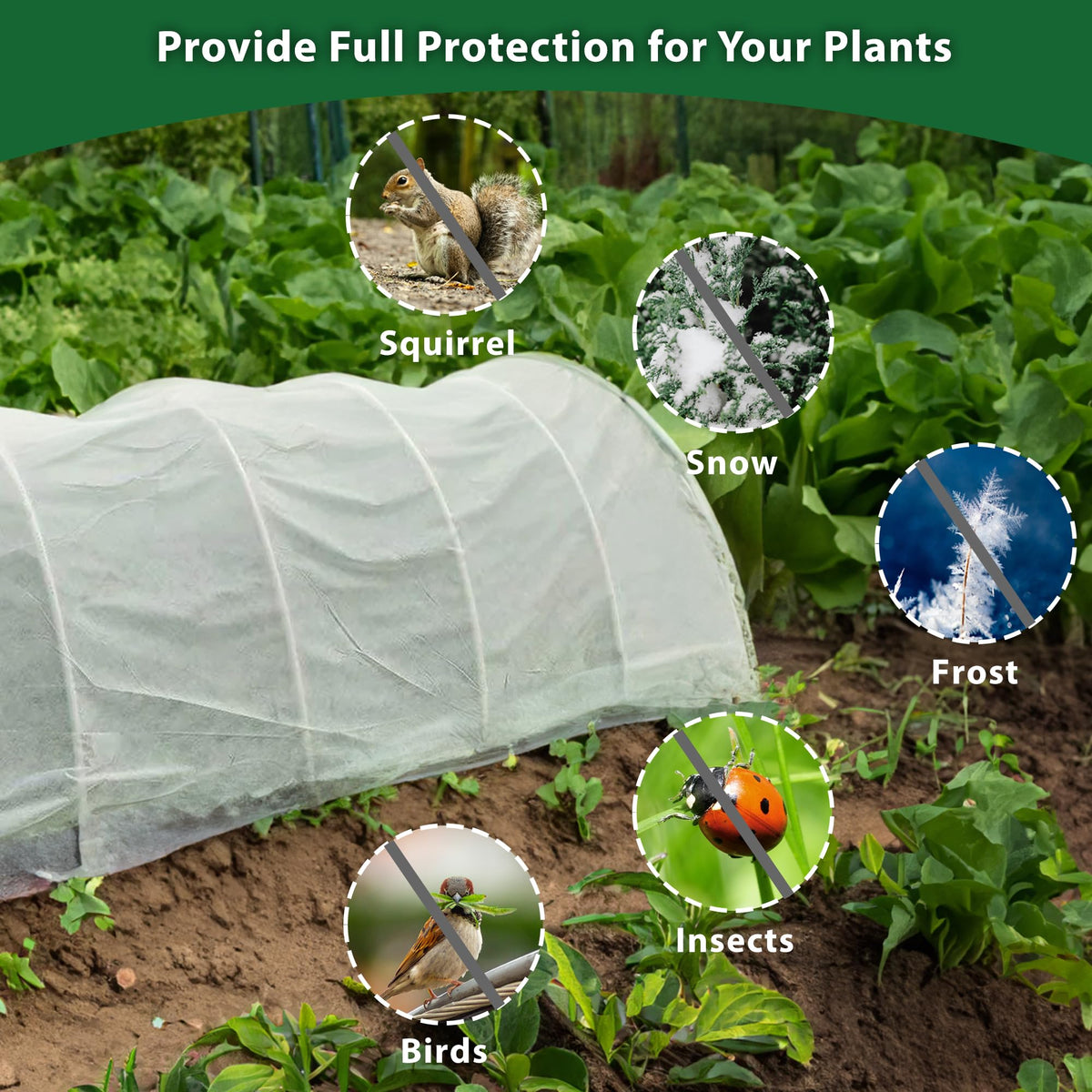 Hyxanons DIY layered cover setup demonstrates adaptable protection for plant sizes.