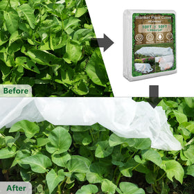 Hyxanons germination-tool early planting enables extended growing season.