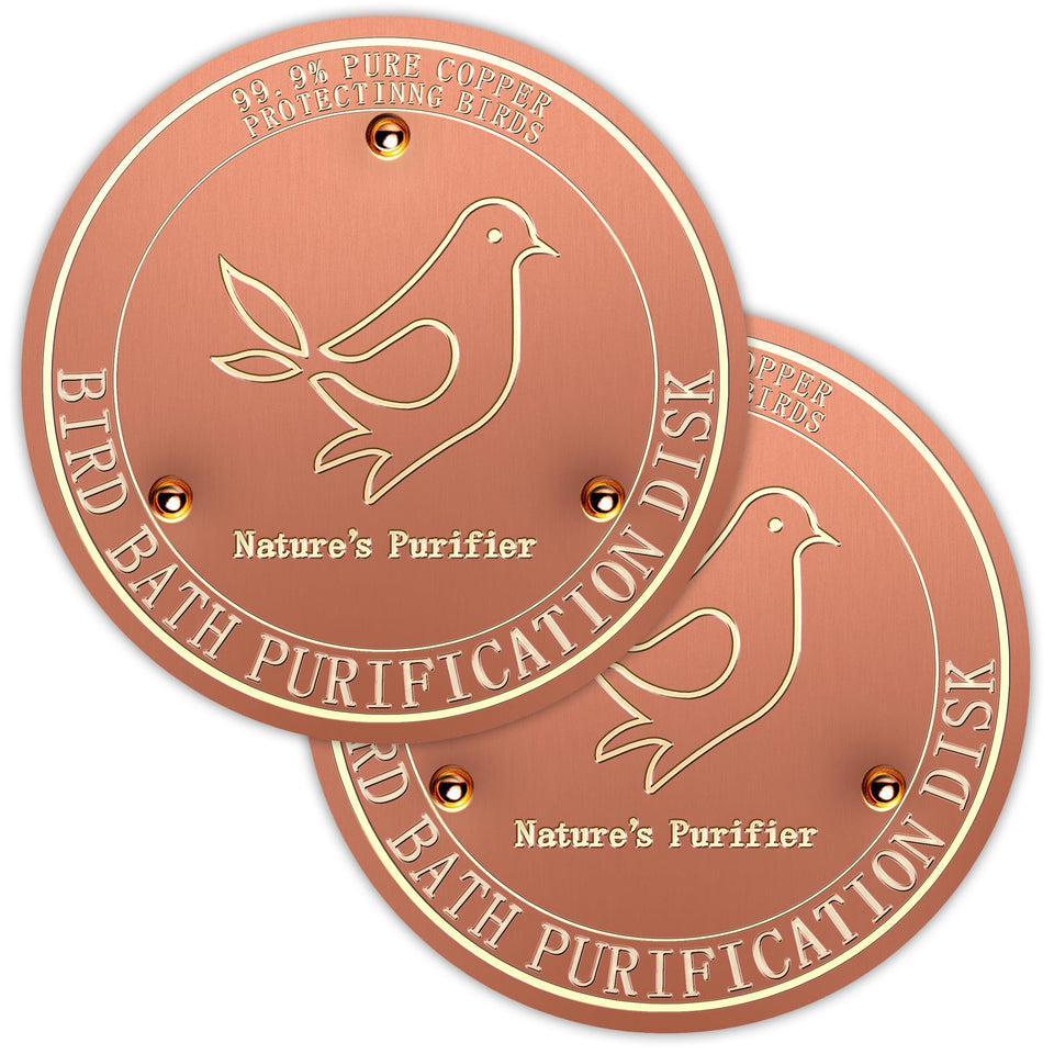 HYXBXSS bird bath purification disk improves water clarity for outdoor feeders.