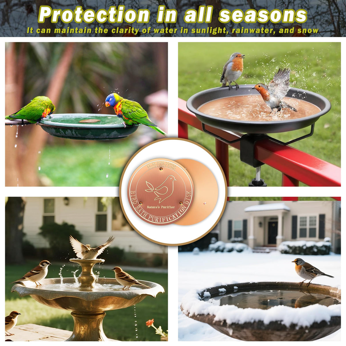 HYXBXSS corrosion-resistant disc provides reliable water clarity year-round.